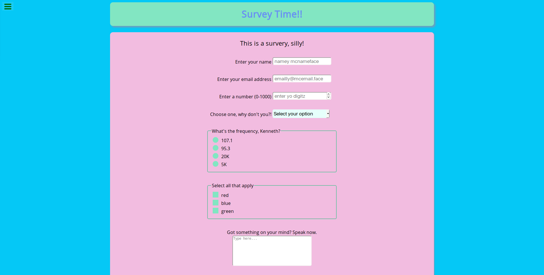 screenshot of survey form